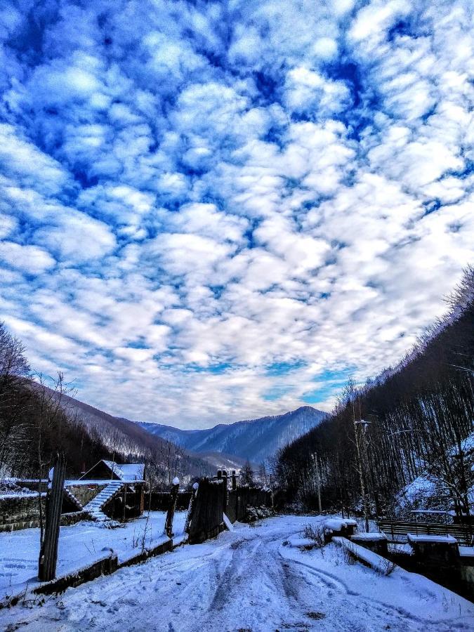 закарпатский сруб Holiday home *