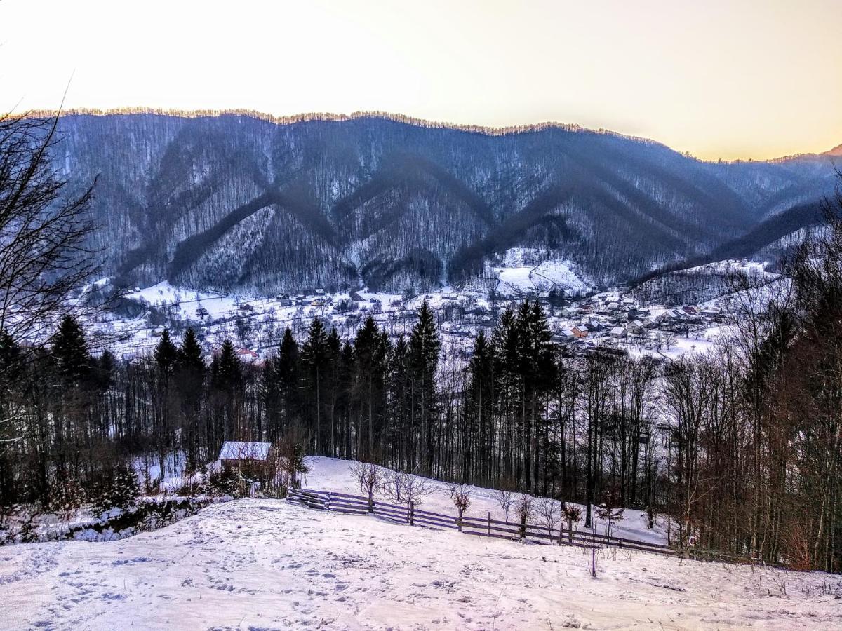 закарпатский сруб * Krasna (Transcarpathia)